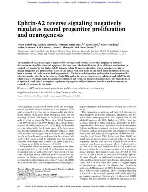 Ephrin-A2 Reverse Signaling Negatively Regulates Neural Progenitor Proliferation and Neurogenesis