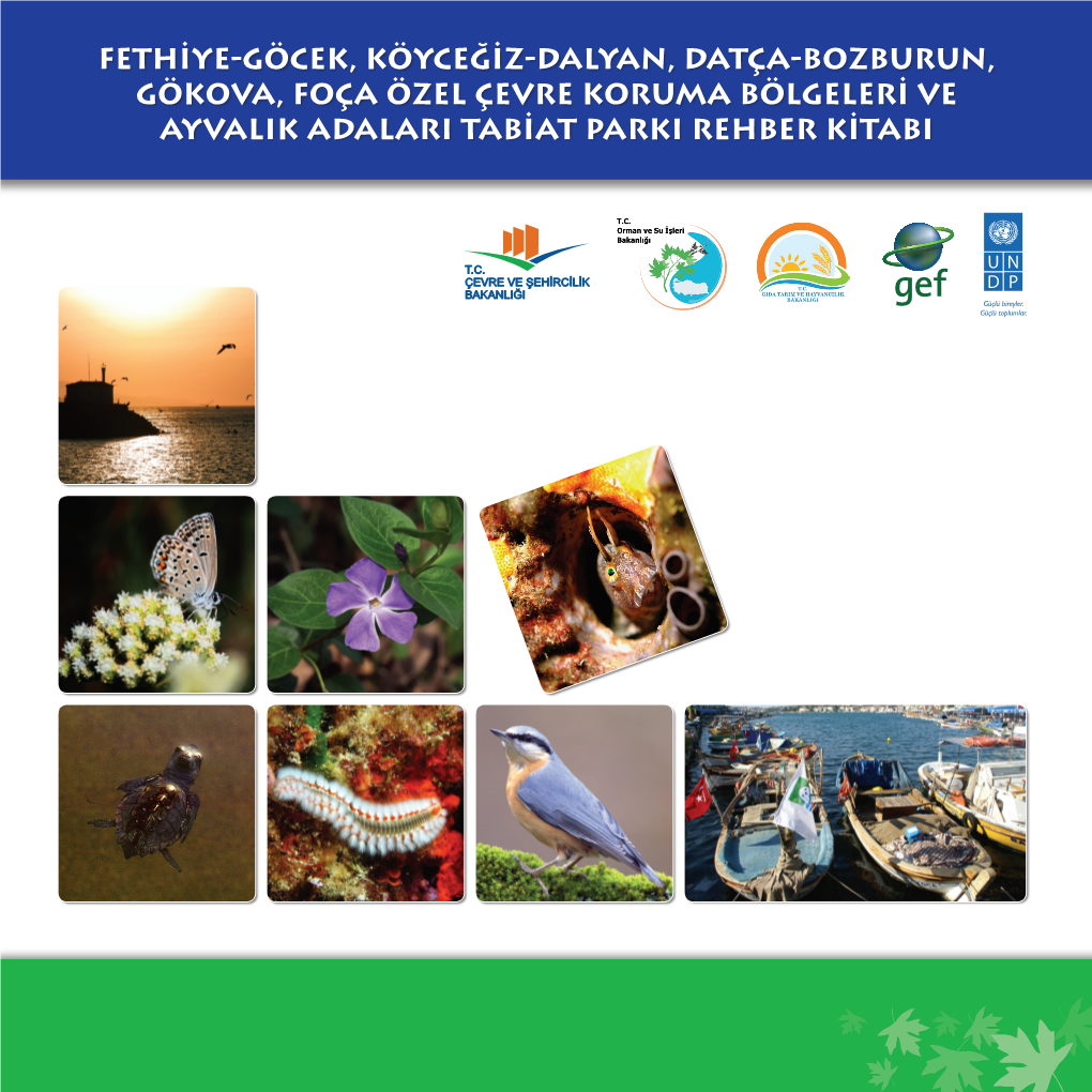 Fethiye-Göcek, Köyceğiz-Dalyan, Datça-Bozburun, Gökova, Foça Özel Çevre ...