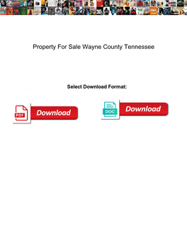 Property for Sale Wayne County Tennessee