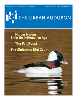 The Urban Audubon