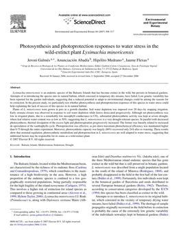 Photosynthesis and Photoprotection Responses to Water Stress in The