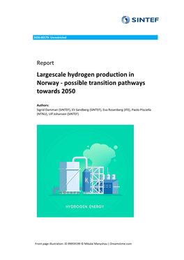 Largescale Hydrogen Production in Norway - Possible Transition Pathways Towards 2050