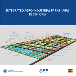 INTEGRATED AGRO-INDUSTRIAL PARKS (Iaips) in ETHIOPIA