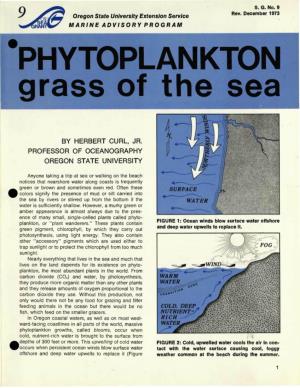 PHYTOPLANKTON Grass of The