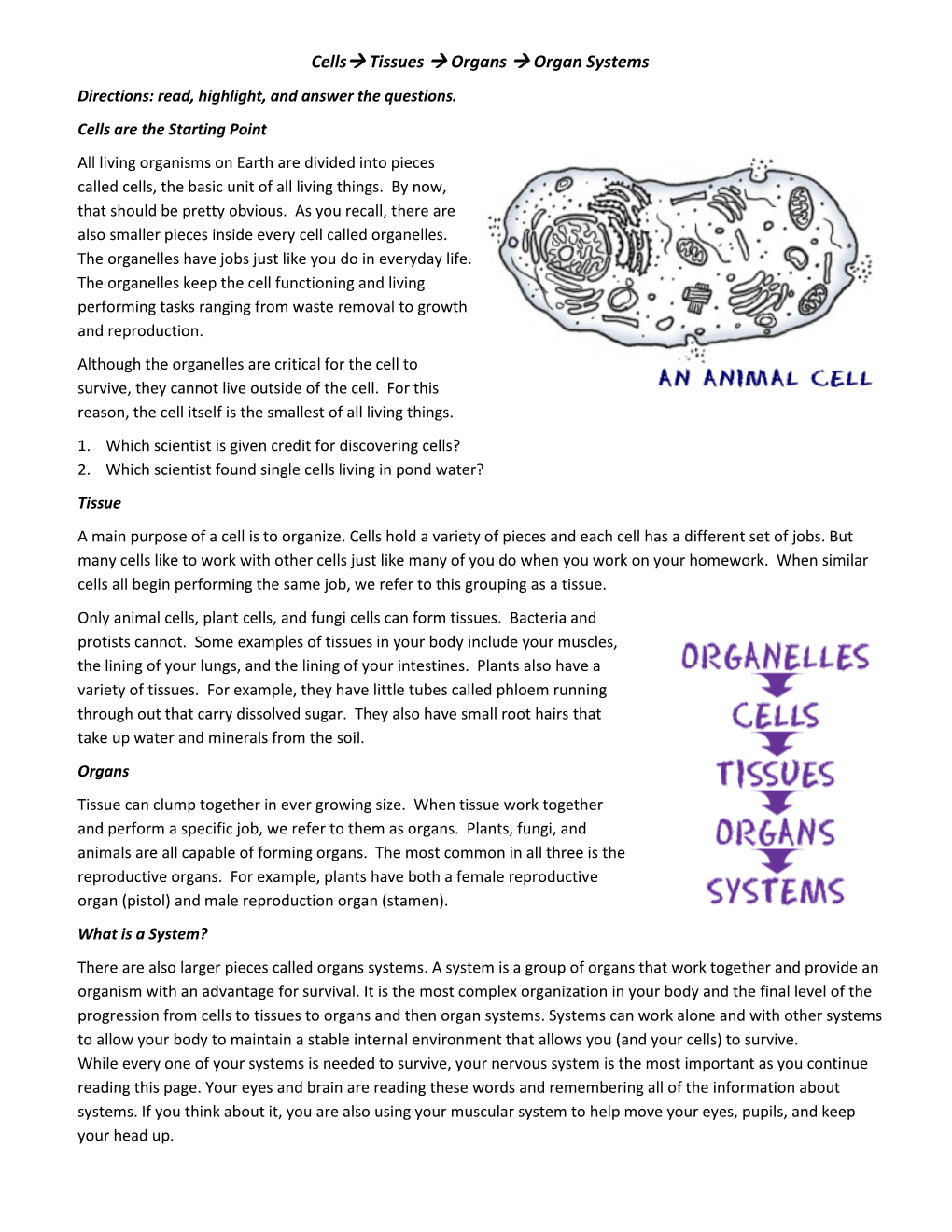 Cells Tissues Organs Organ Systems Docslib