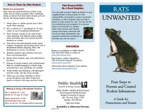 Rats Unwanted: Four Steps to Prevent and Control Rodent Infestations