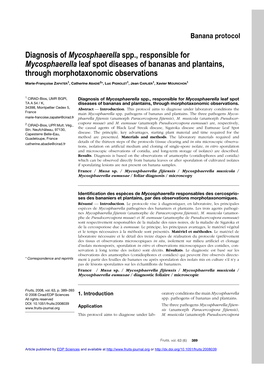 Diagnosis of Mycosphaerella Spp., Responsible for Mycosphaerella Leaf Spot Diseases of Bananas and Plantains, Through Morphotaxonomic Observations