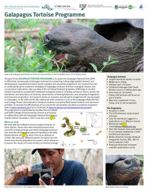 Galapagos Tortoise Programme