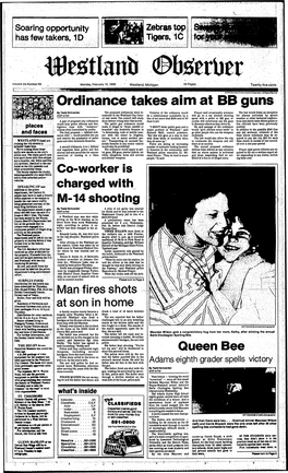 Ordinance Takes Aim at BB Guns ' I