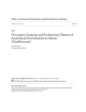 Descriptive Anatomy and Evolutionary Patterns of Anatomical Diversification in Adenia (Passifloraceae) David J
