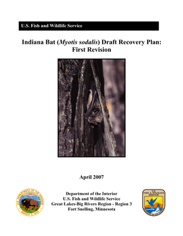 Indiana Bat (Myotis Sodalis) Draft Recovery Plan: First Revision