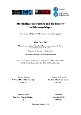 Morphological Structure and Biodiversity in Fish Assemblages