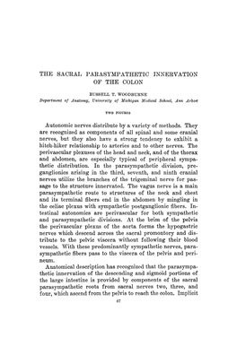 The Sacral Parasympathetic Innervation of the Colon