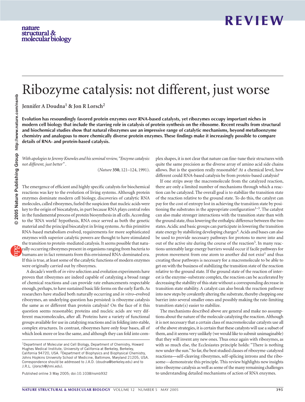 Ribozyme Catalysis: Not Different, Just Worse