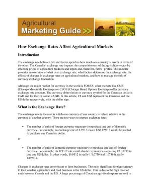 How Exchange Rates Affect Agricultural Markets