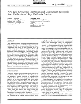 New Late Cretaceous (Santonian and Campanian) Gastropods from California and Baja California, Mexico