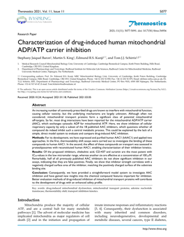 Theranostics Characterization of Drug-Induced Human Mitochondrial ADP/ATP Carrier Inhibition