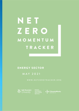 NZMT-Energy-Report May 2021.Pdf