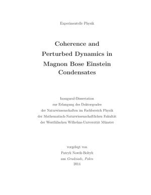 Coherence and Perturbed Dynamics in Magnon Bose Einstein Condensates