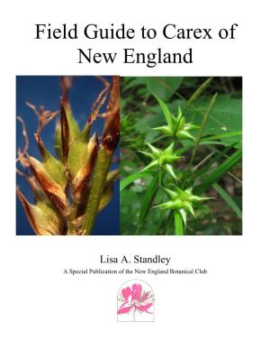 Carex of New England