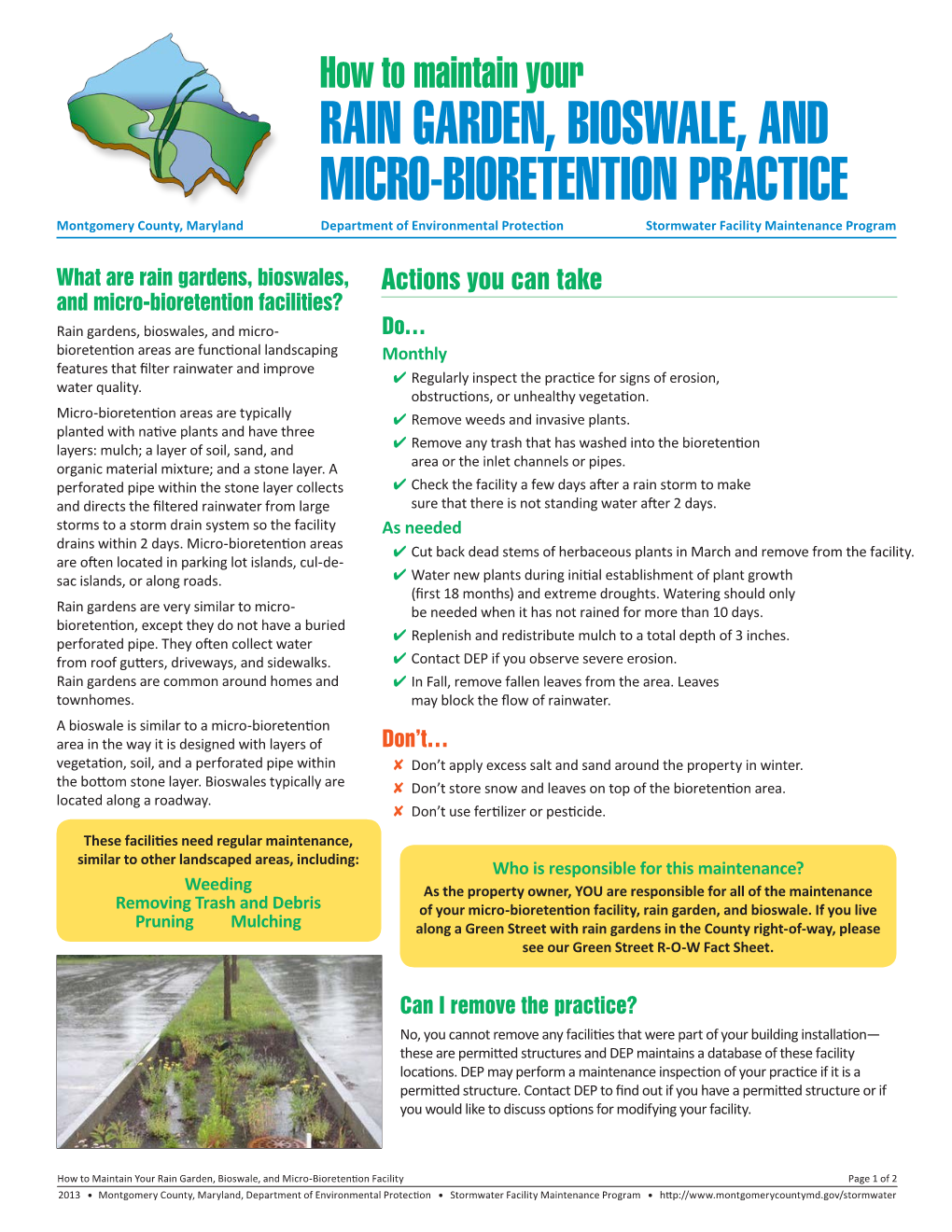 How to Maintain Your Rain Garden, Bioswale, and Micro-Bioretention