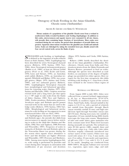 Ontogeny of Scale Feeding in the Asian Glassfish, Chanda Nama