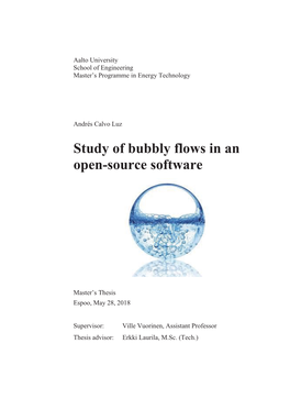 Study of Bubbly Flows in an Open-Source Software