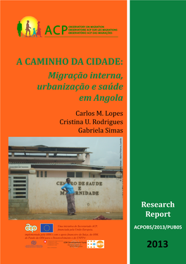 A Caminho Da Cidade: Migração Interna, Urbanização E Saúde Em Angola Carlos M