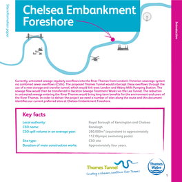 Chelsea Embankment Foreshore