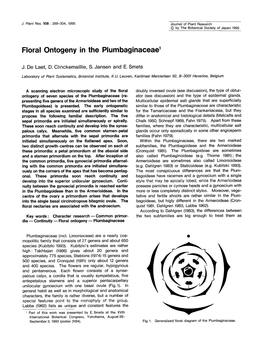 Floral Ontogeny in the Plumbaginaceae I