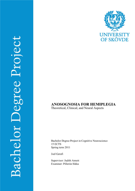 ANOSOGNOSIA for HEMIPLEGIA Theoretical, Clinical, and Neural Aspects