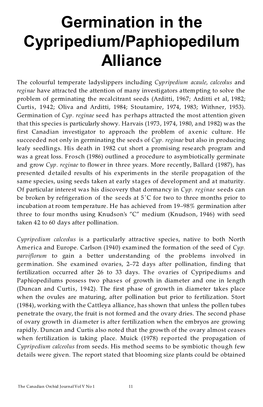 Germination in the Cypripedium/Paphiopedilum Alliance