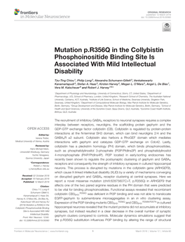 Mutation P.R356Q in the Collybistin Phosphoinositide Binding Site Is Associated with Mild Intellectual Disability