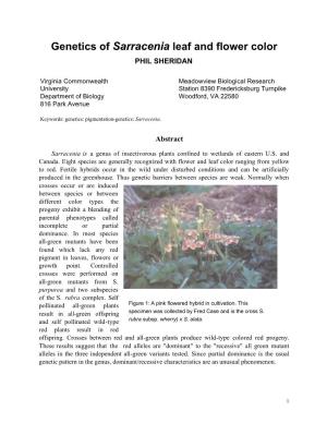 Genetics of Sarracenia Leaf and Flower Color PHIL SHERIDAN