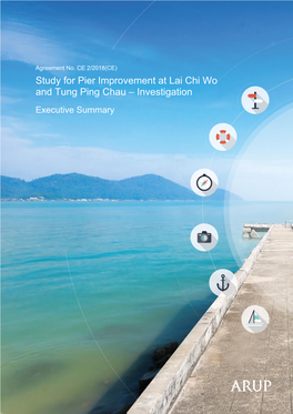 Study for Pier Improvement at Lai Chi Wo and Tung Ping Chau – Investigation