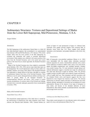 CHAPTER 9 Sedimentary Structures: Textures and Depositional Settings