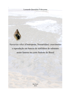 Nassarius Vibex (Gastropoda, Nassariidae): Crescimento E Reprodução Em Bancos De Mitilídeos De Substrato Areno-Lamoso Na Costa Sudeste Do Brasil
