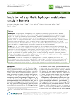 Insulation of a Synthetic Hydrogen Metabolism Circuit in Bacteria