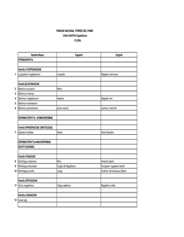 Patagonia Flora List