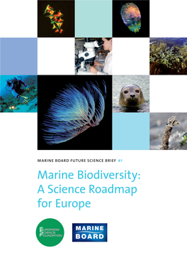Marine Biodiversity: a Science Roadmap for Europe II Marine Biodiversity: a Science Roadmap for Europe
