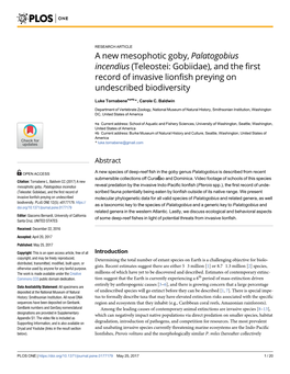 A New Mesophotic Goby, Palatogobius Incendius (Teleostei: Gobiidae), and the First Record of Invasive Lionfish Preying on Undescribed Biodiversity