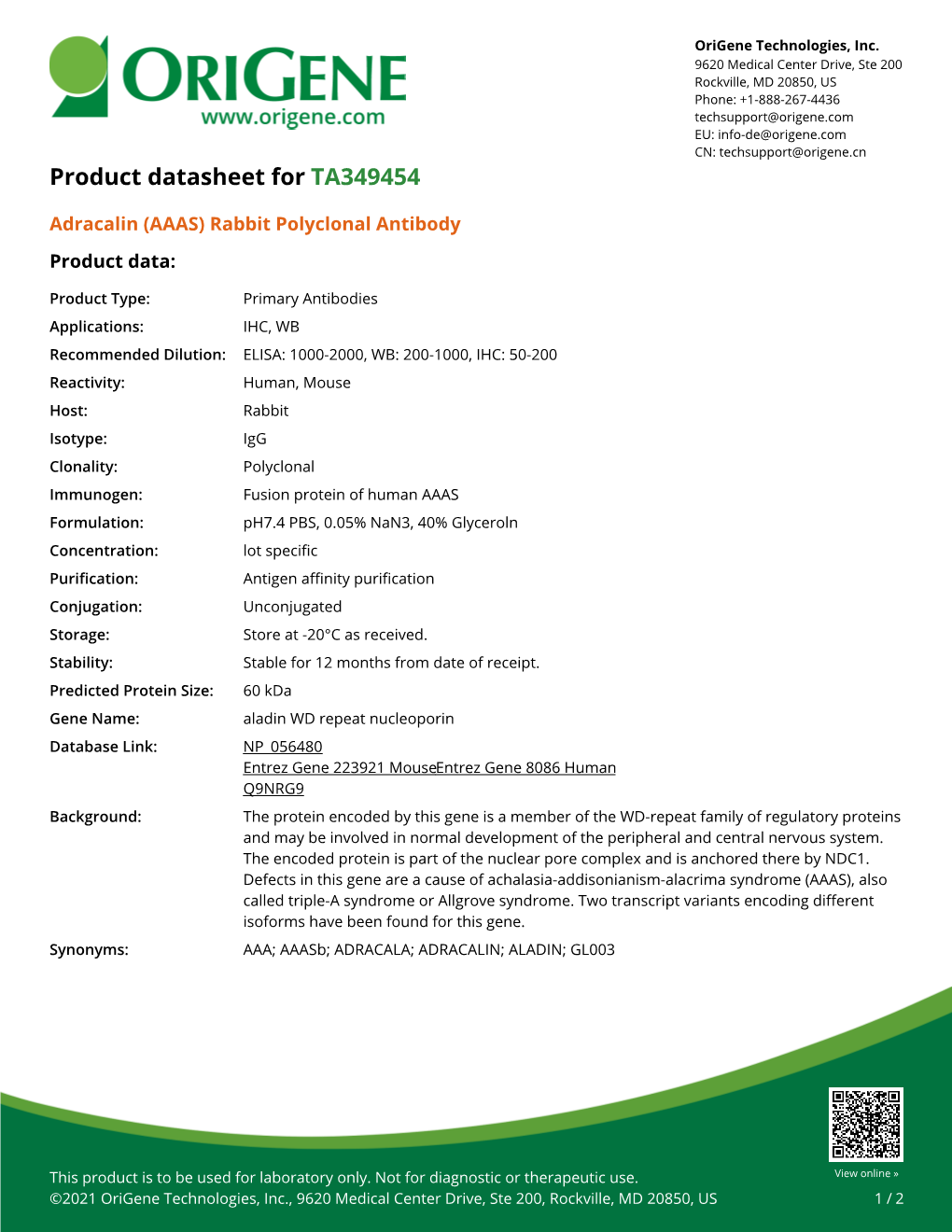 Adracalin (AAAS) Rabbit Polyclonal Antibody – TA349454 | Origene