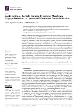 Contribution of Particle-Induced Lysosomal Membrane Hyperpolarization to Lysosomal Membrane Permeabilization