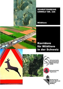 Korridore Für Wildtiere in Der Schweiz