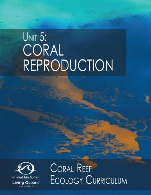 Coral Reproduction