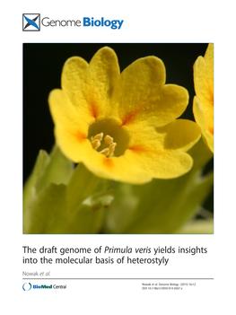 The Draft Genome of Primula Veris Yields Insights Into the Molecular Basis of Heterostyly Nowak Et Al