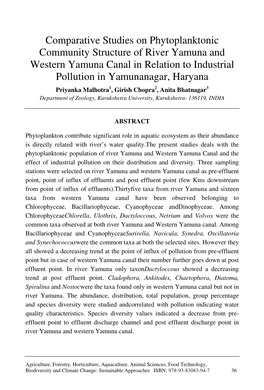 Comparative Studies on Phytoplanktonic