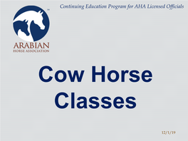 Cow Horse Classes