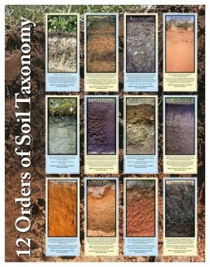 Soil-Taxonomy-Web-Poster.Pdf