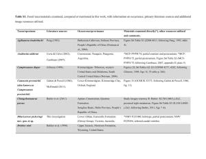 Table S1. Fossil Taxa/Materials Examined, Compared Or Mentioned